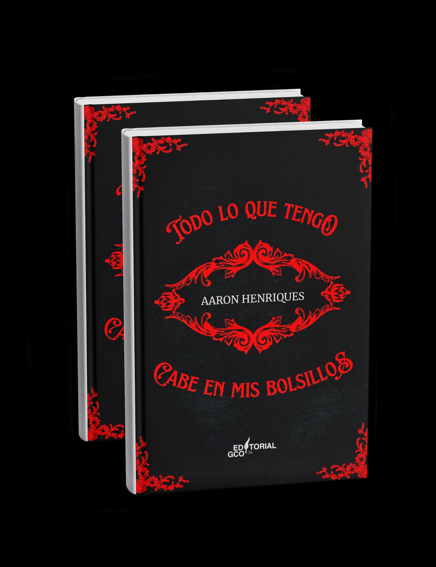 TODO LO QUE TENGO CABE EN MIS BOLSILLOS - AARON HENRIQUES