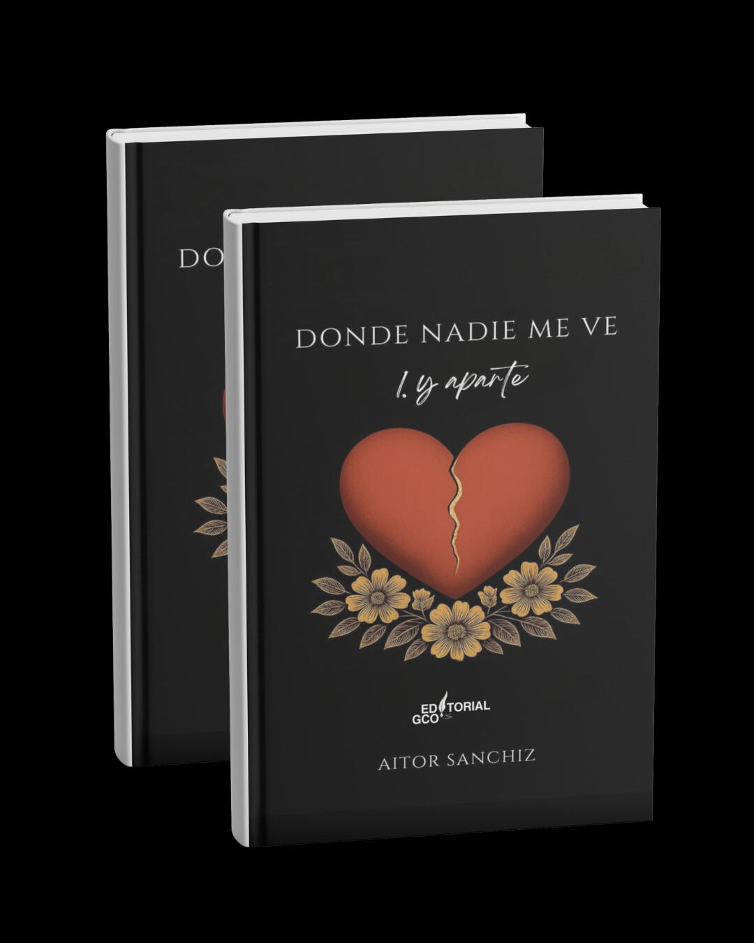 DONDE NADIE TE VE - AITOR SANCHIZ